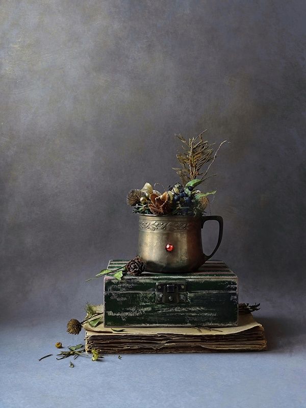 Winter Still Lifephoto preview