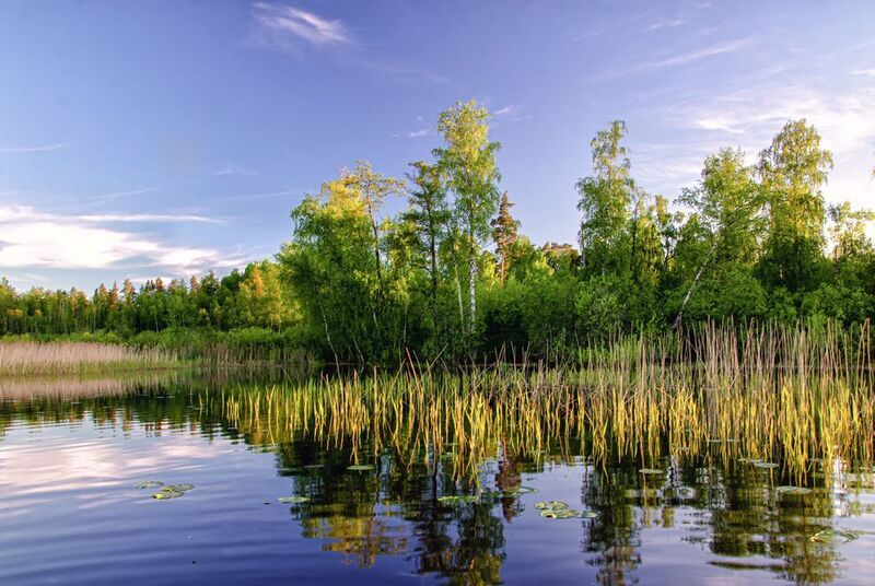 озеро вельё валдай вечер Вечер на озере Вельёphoto preview