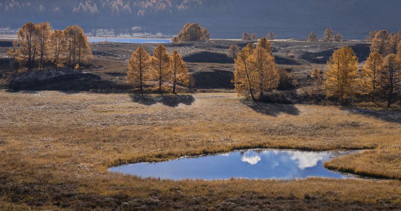 Алтай, осень, деревья, пейзаж Осенняя прогулка (Алтай)photo preview