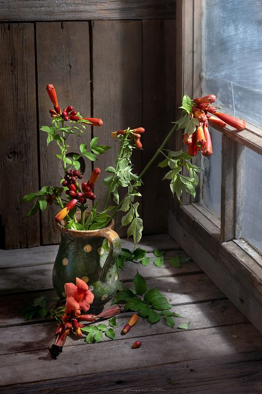 Zöld korsóbanphoto preview