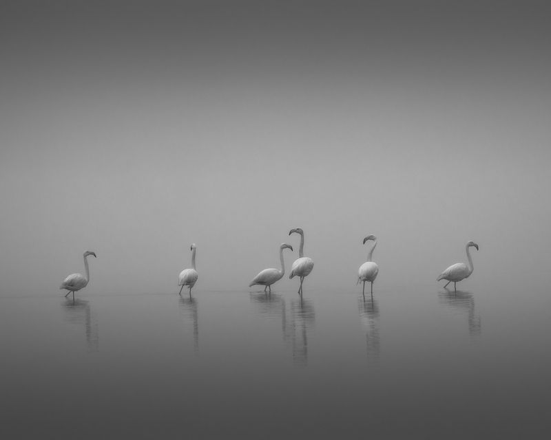 It All Starts With a Lullabyphoto preview