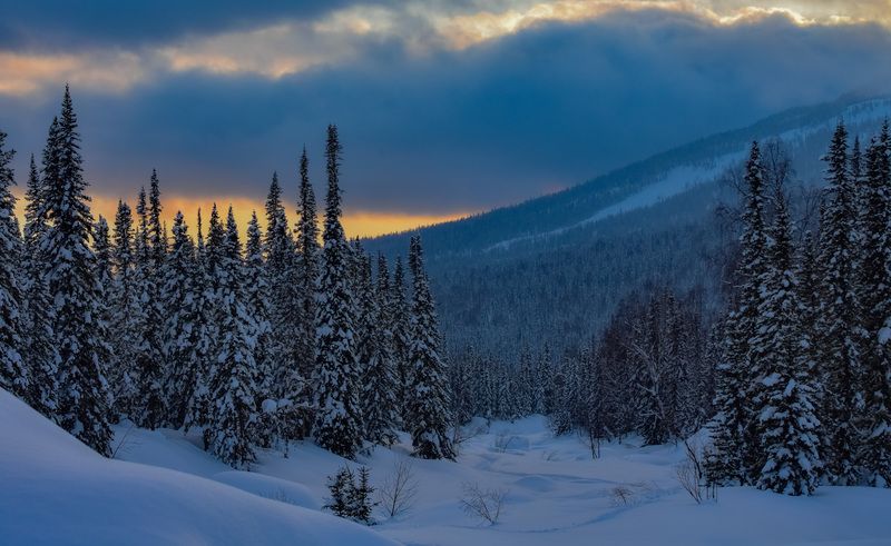 россия, хакасия, кузнецкий алатау, зима, вечер, закат, снег, деревья, ели, лес, горы Зимний вечерphoto preview