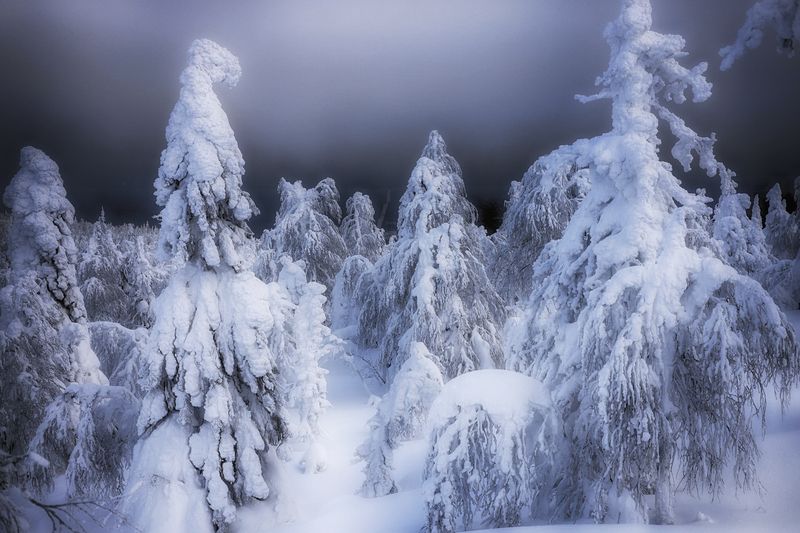 Метель с Севераphoto preview