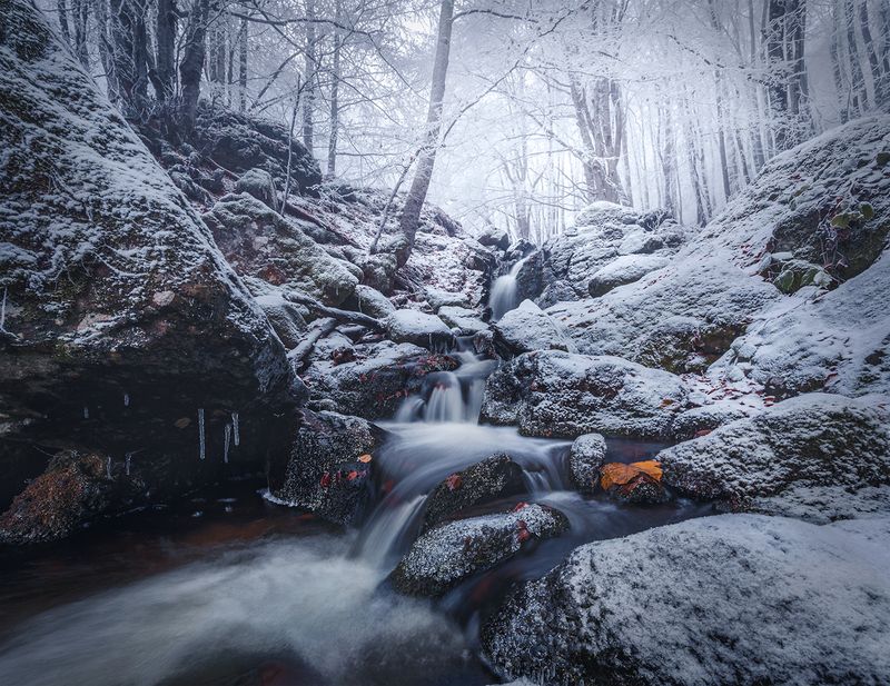 landscape nature scenery forest wood autumn rime mist misty fog foggy river longexposure mountain rocks vitosha bulgaria The last onephoto preview