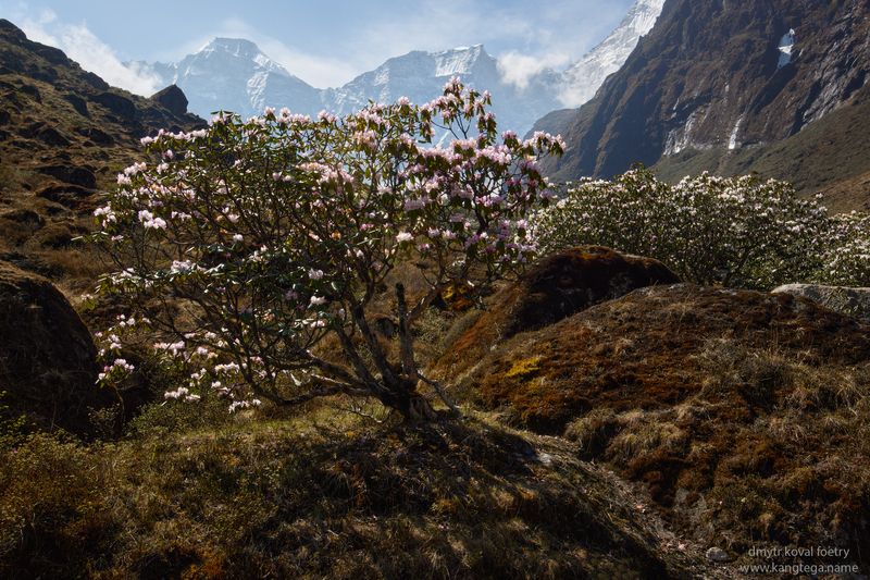 пейзажемагьё, пейзаж-как-виденье Поднебесная Весна …photo preview