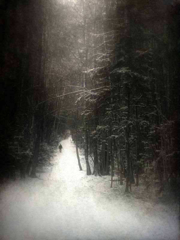 чб, лес, зима 10 дней до весны.photo preview