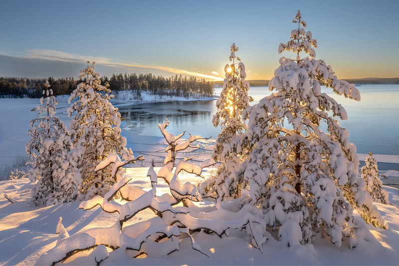 ладога, шхеры, карелия, ладожскиешхеры, ладожскоеозеро, karelia, ladoga Карельские сказочные ёлочкиphoto preview