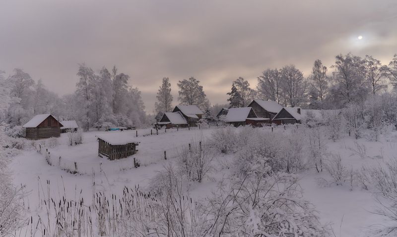 В лесу.photo preview