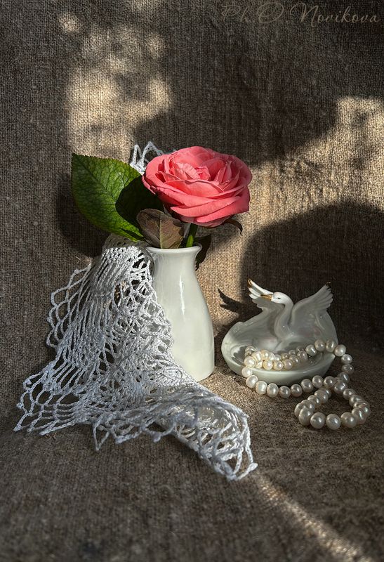 холодное солнце февраляphoto preview