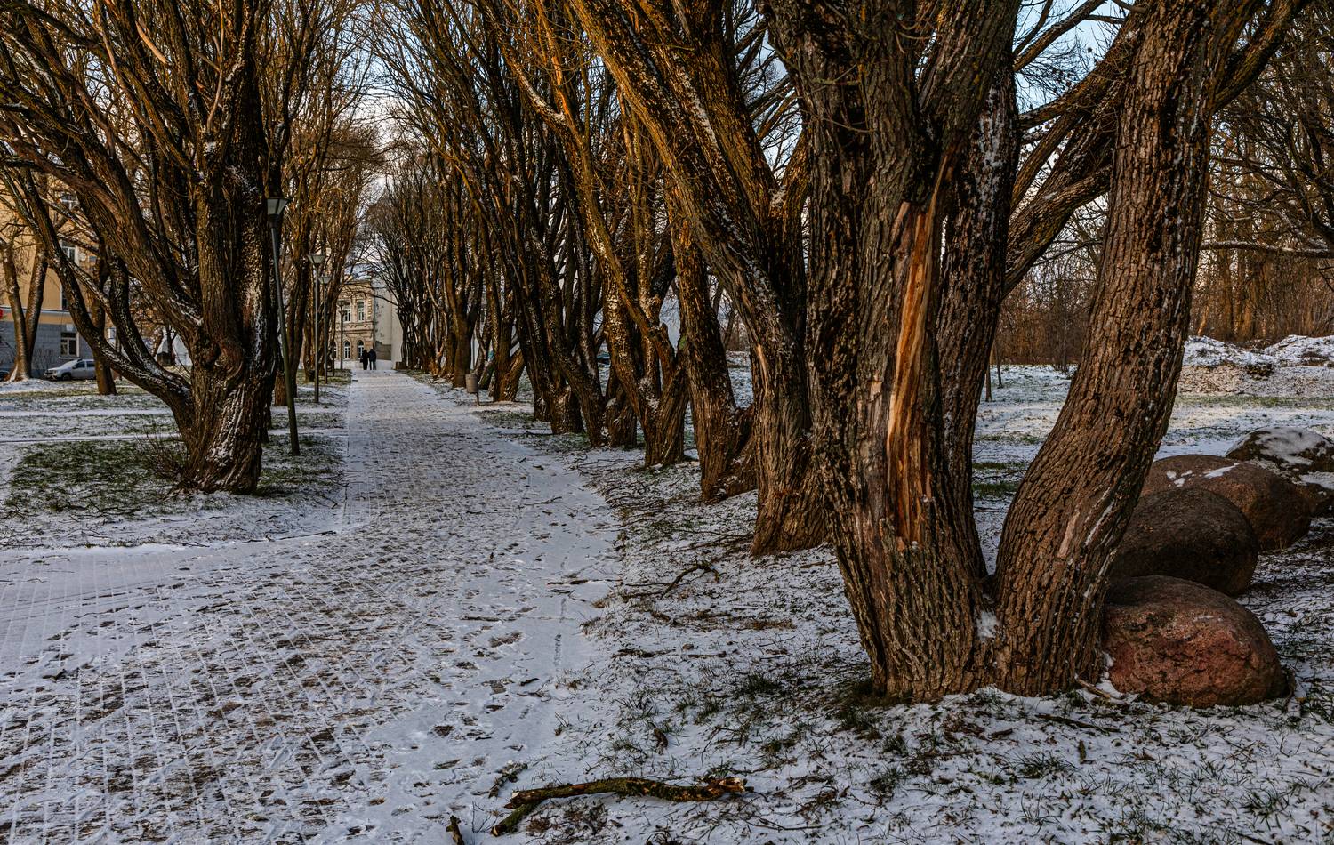 Зима, Псков, , Сергей Петров