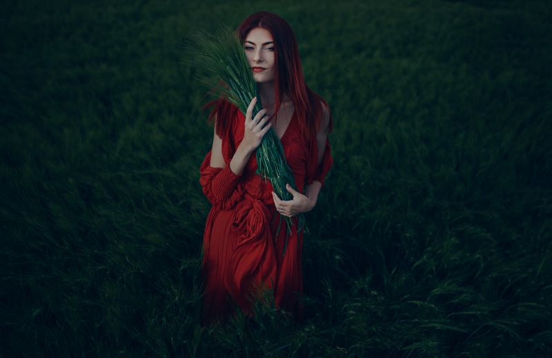 A promisephoto preview