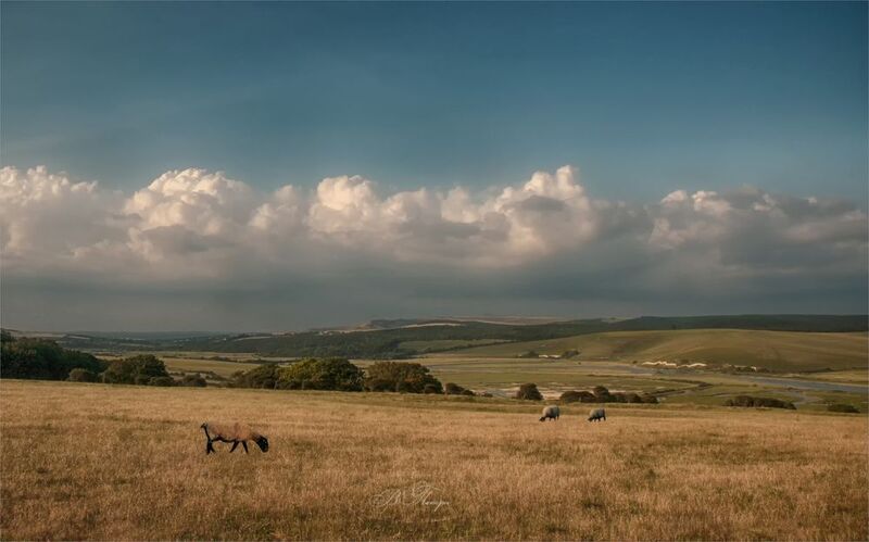 Пастораль фото превью