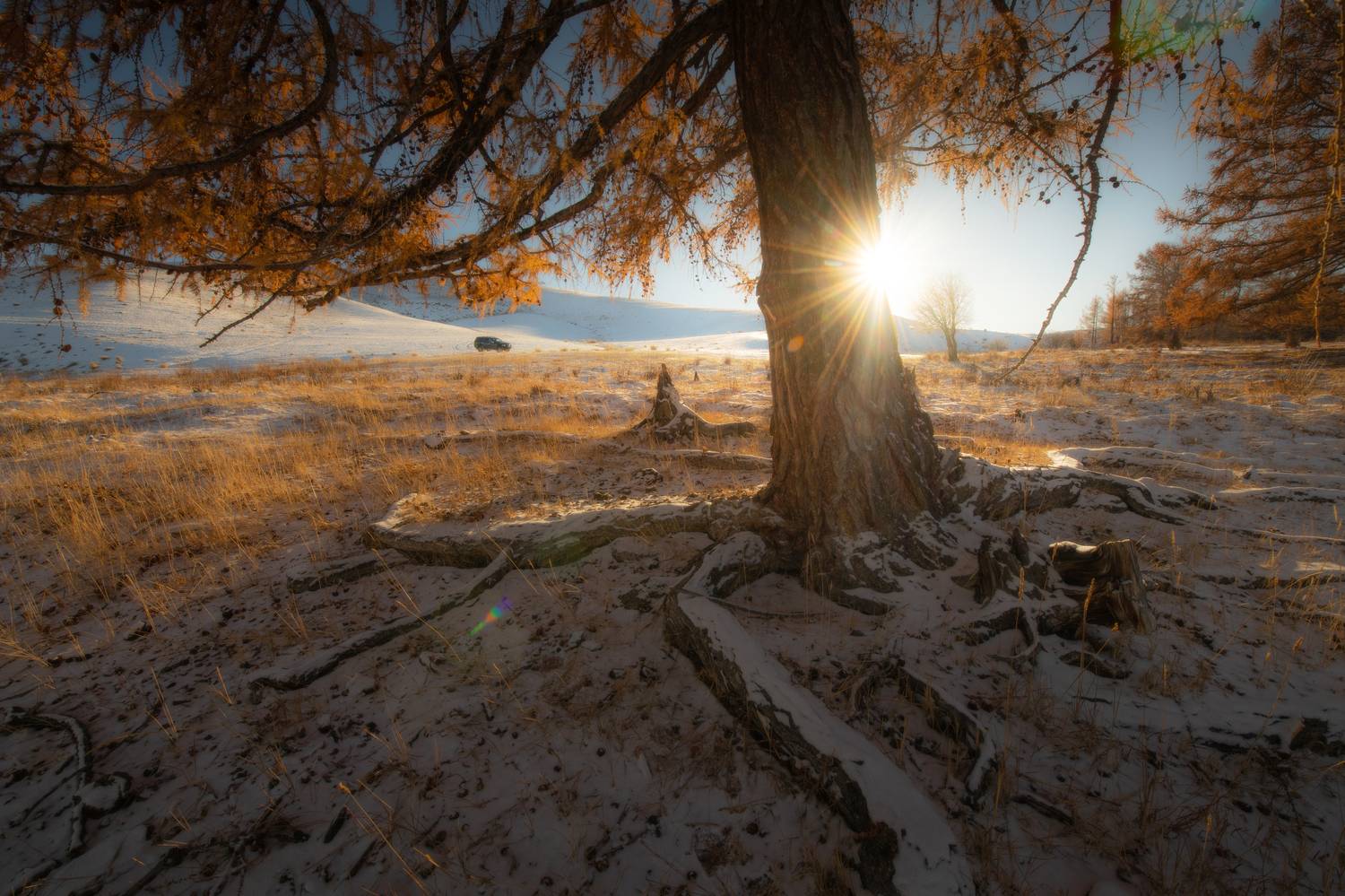 , Абрамов Денис