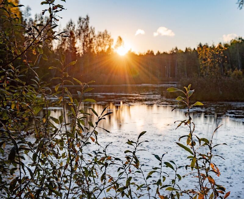 болотоphoto preview