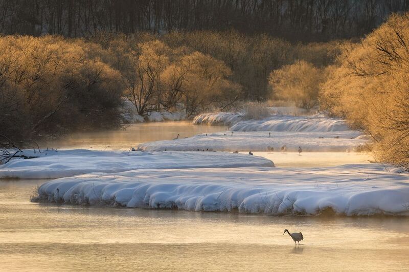 Morning at the lake фото превью