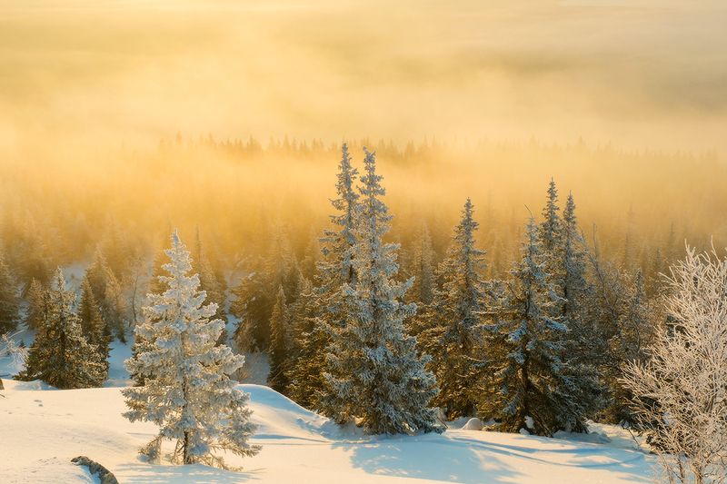 Зюраткуль туман над Зюраткулемphoto preview