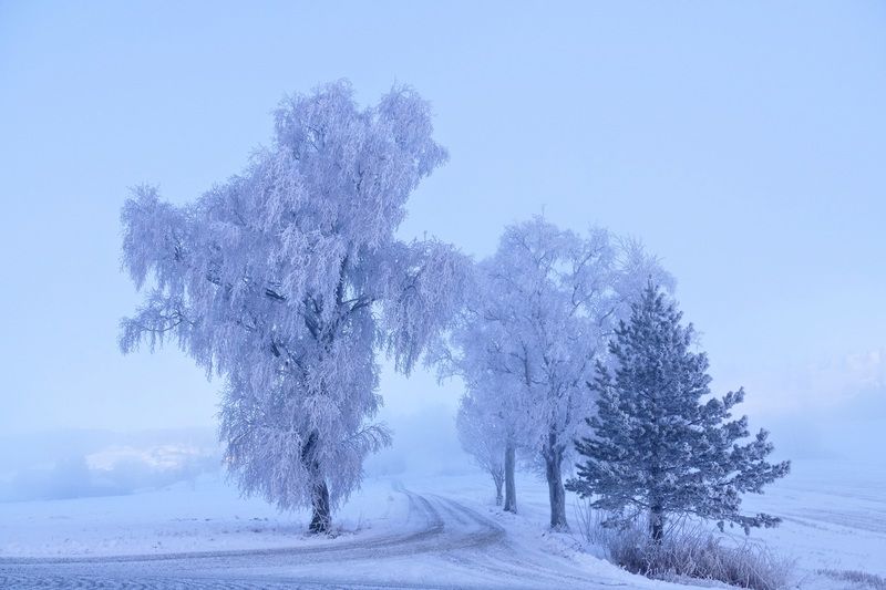 Landscapes, Norway, Winter, Frost, Trees, Mood, Mist, Road,  На повороте зимыphoto preview