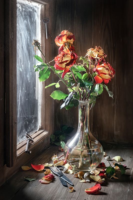 Hervadásphoto preview