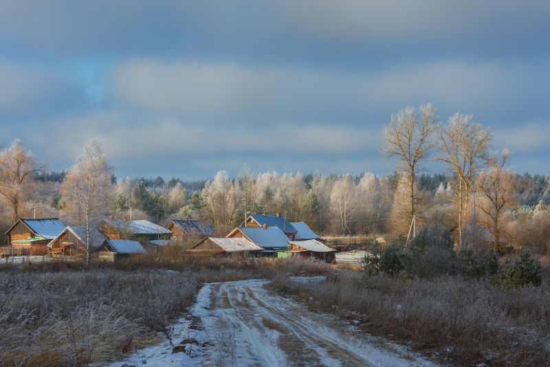 мороз иней февраль лес деревня беляиха вязниковский район Морозный деньphoto preview