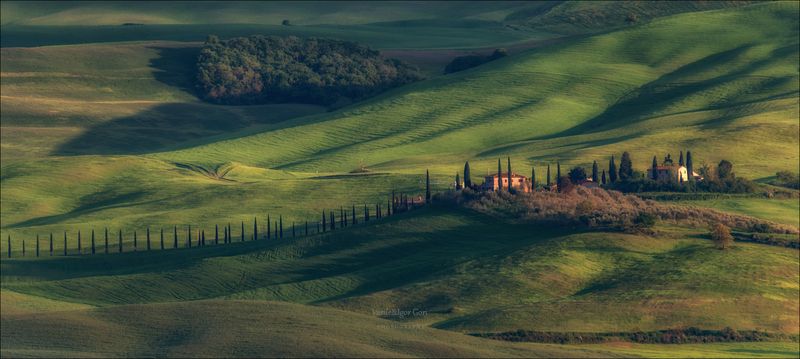 italy,san quirico d\\\'orcia,italia,италия,тоскана,pienza,кипарис,toscana,осень,tuscany,cipressi,belvedere,пьенца,тени,rural,холмы Бархатные холмыphoto preview