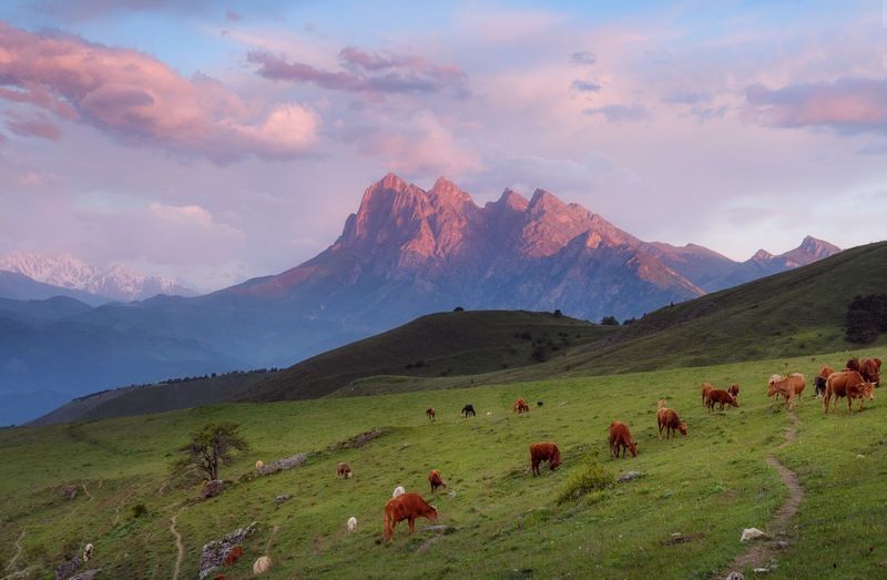 ингушетия, цей-лоам, утро Рассвет с видом на Цей-Лоамphoto preview