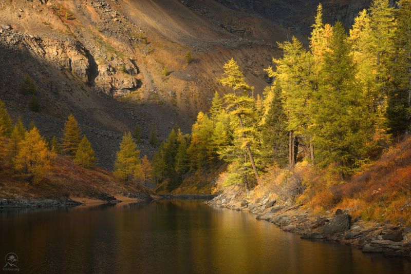 осень, алтай, горный алтай, горы, озера, лиственница, фототур на алтай осенью, фототуры 2025 Ускользающий светphoto preview
