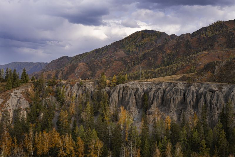 берег, пейзаж, Алтай Берегаphoto preview