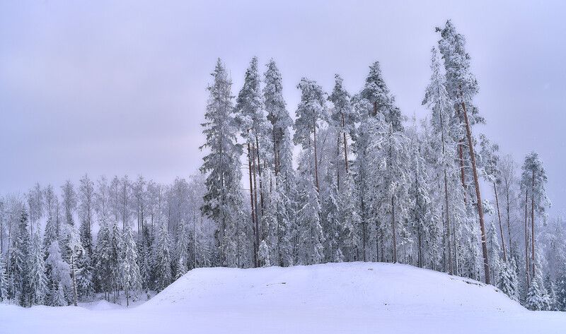 Любогорье. Новгор.обл.photo preview