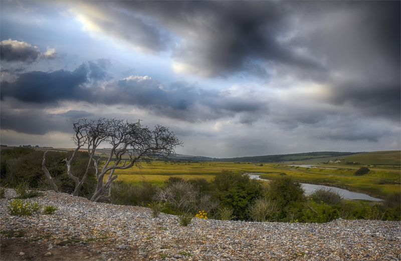 Кажется дождь собирается! фото превью