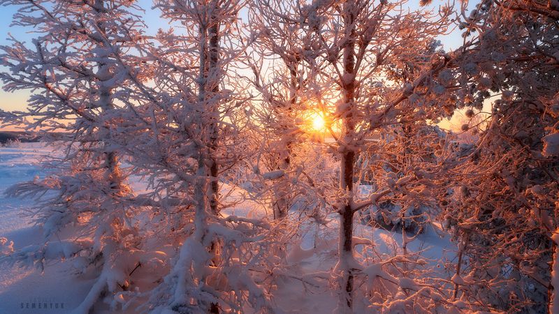 карелия, зима, снег, мороз, хийденвуори, деревья, солнце Кружево Зимыphoto preview
