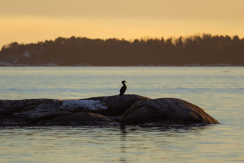 балтийское море, шхеры, архипелаг, швеция На закатеphoto preview