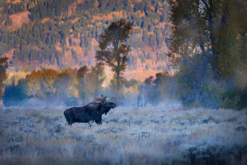 Генератор туманаphoto preview