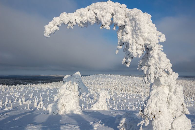 Статуи Рииситунтуриphoto preview