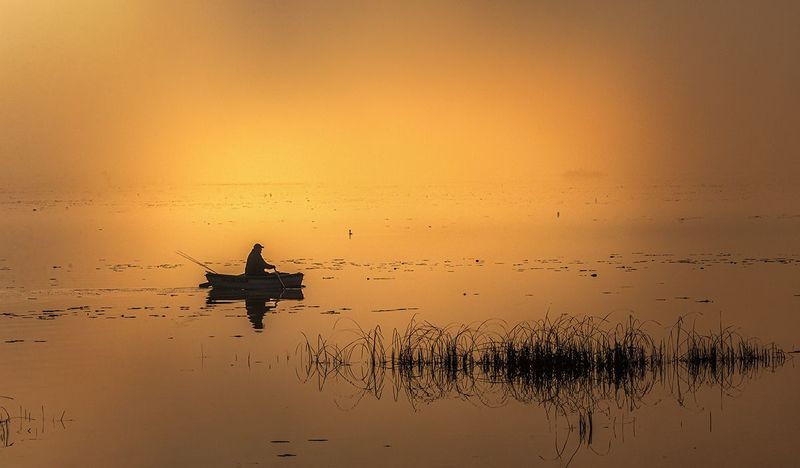 O porankuphoto preview