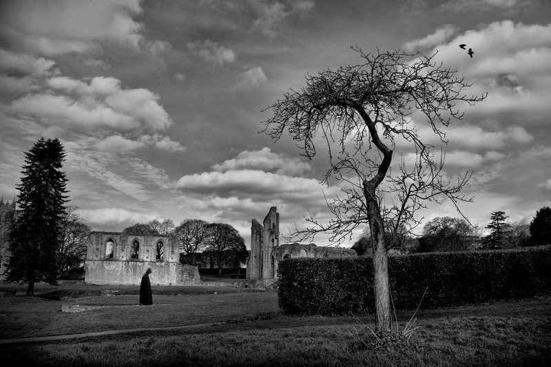 Glastonbury Abbey...photo preview