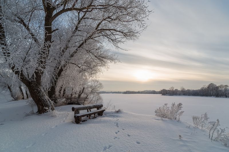 Нежное серебро зимы.photo preview