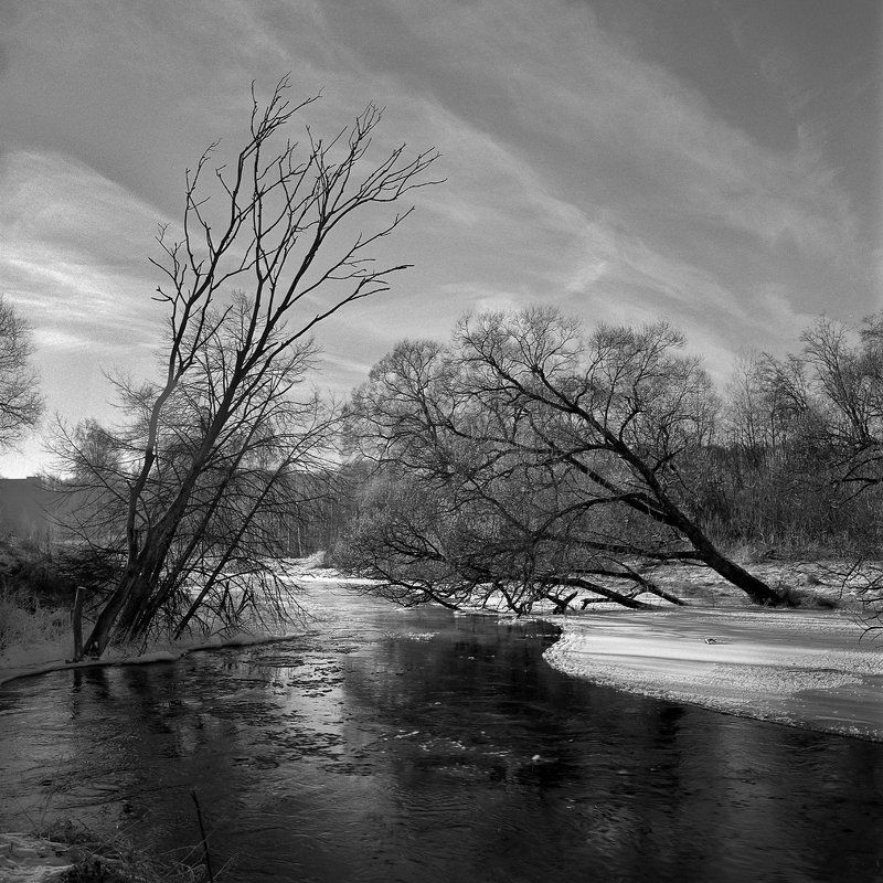 зима., лес., река., снег. \