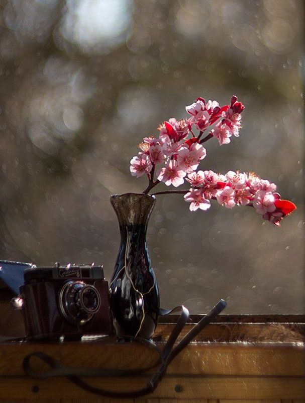 PRO 5 см в секунду...photo preview