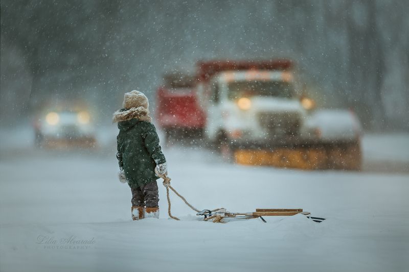 Child, Sled, Snow, Winter Through The Snow...photo preview