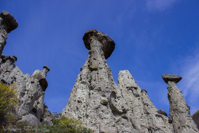 Дик, Russia