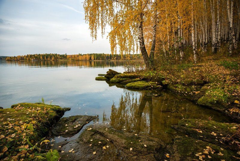 На осеннем берегуphoto preview