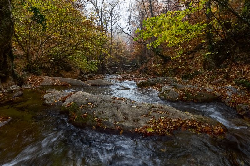 Крымосень Осень ущелья Хапхал.photo preview