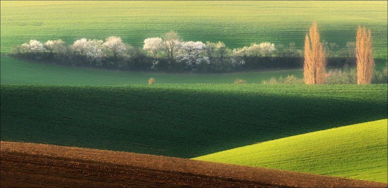 чехия, южная моравия,  весна, фототур, линии, свет, геометрия, south moravian, czech, chiaroscuro, / Моравские сюжеты /photo preview