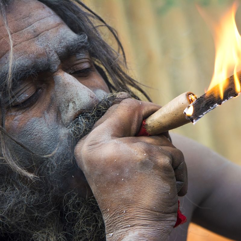 Amlan Sarkar, India