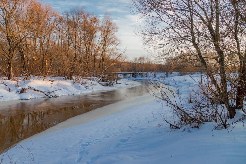 Отметился зимой 21-го годаphoto preview