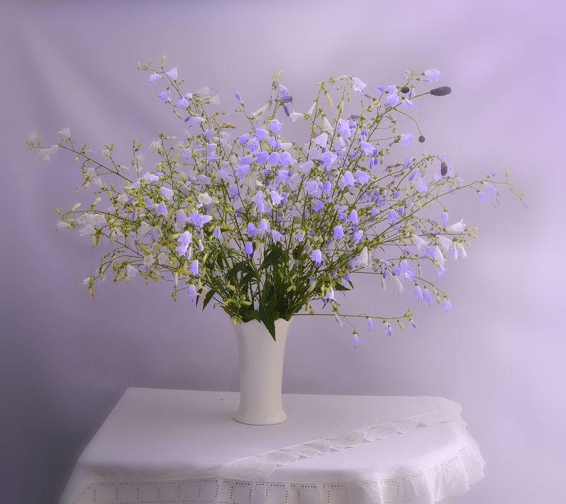 натюрморт,композиция,свет,лето,букет ***photo preview