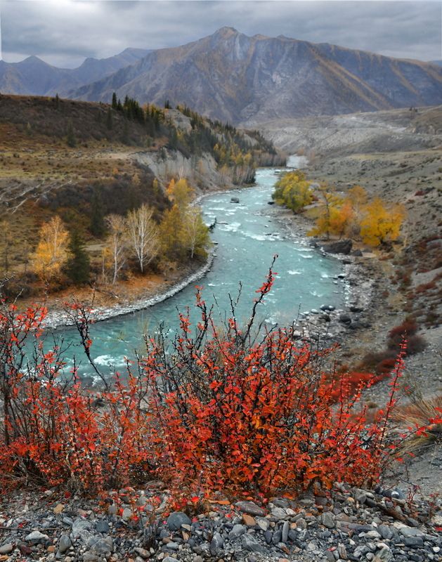 Осенний Алтайphoto preview