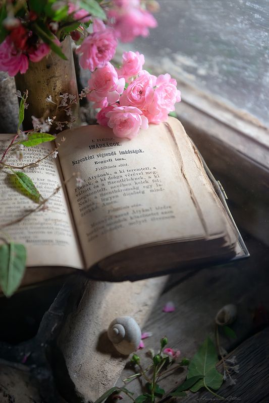 Imakönyv-zoomphoto preview