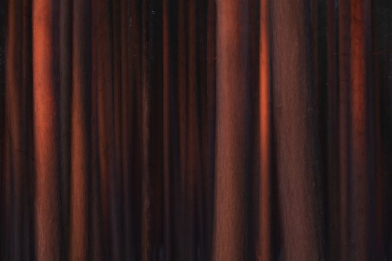 В лесу рассветphoto preview