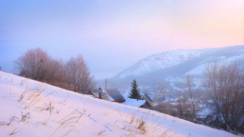 В полутонах.photo preview